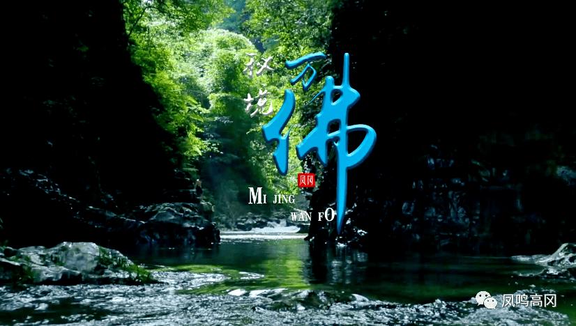 死亡细胞